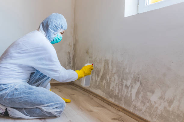 Mold inspector in Thurmont performing thermal imaging